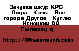 Закупка шкур КРС , Овцы , Козы - Все города Другое » Куплю   . Ненецкий АО,Пылемец д.